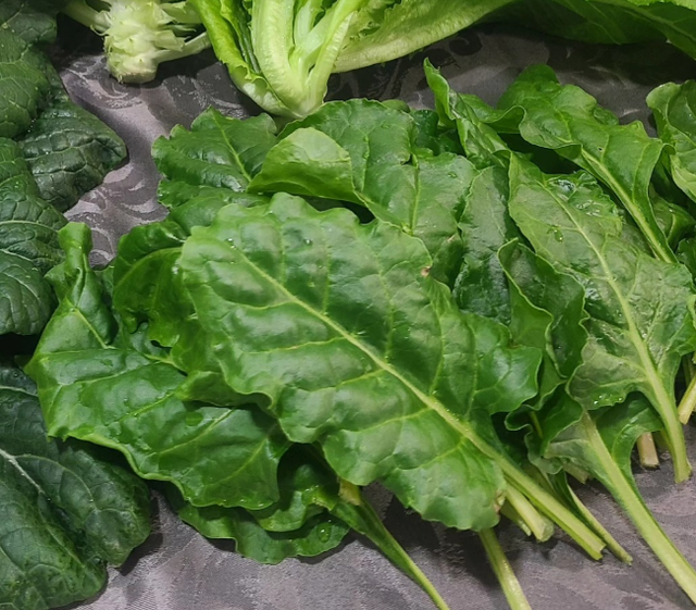 Spinach